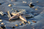 Fotocollectie Album Strand en zee DvE-DSC01364.jpg
