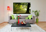 forest on canvas - photo: Dirk van Egmond