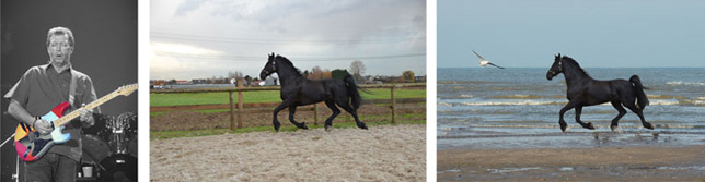 Canvasfoto met kleuraccent en aangepaste achtergrond
